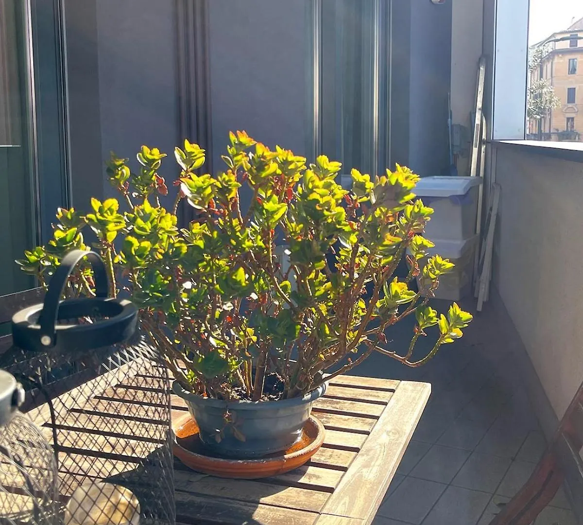 Suite Porta Romana Milánó Apartman